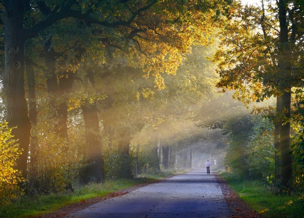 가을 아침. [출처=pixabay]