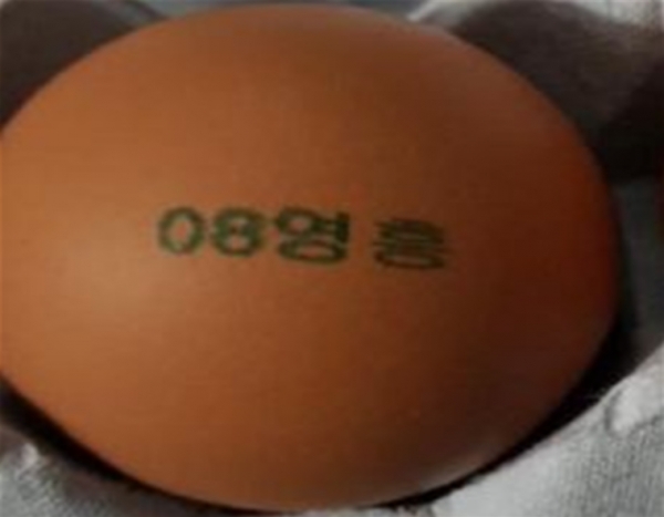 경기도 포천시 영흥농장 계란 [출처=농림축산식품부]