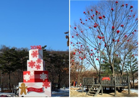 대형 케익트리(왼쪽)과 신비한 나무. 출처=서울시