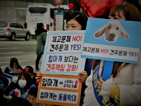 개 입마개 착용 의무화 철회 등을 촉구하는 집회가 열렸다. [사진=주현웅 기자]