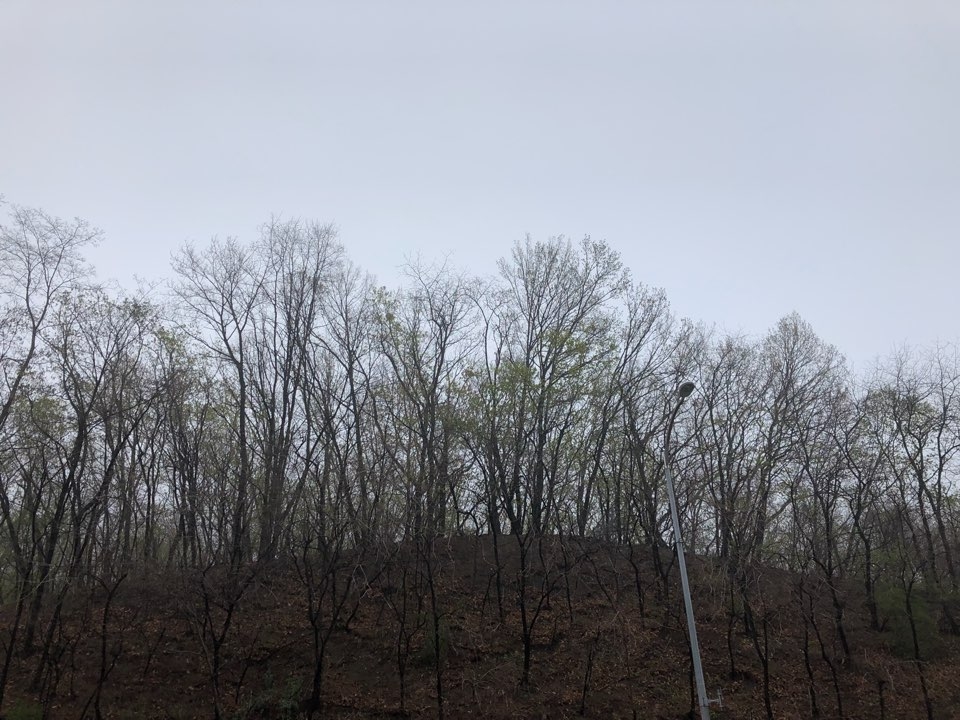 전국이 대체로 맑은 가운데 꽃샘추위로 쌀쌀한 날씨를 보이고 있다. 2018.04.09/그린포스트코리아