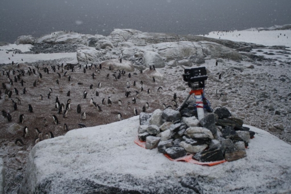 오스트레일리아 남극국의 연구팀이 8개의 무인 원격카메라를 설치, 펭귄의 이동경로 등을 파악하고 있다. (오스트리아 남극국 제공)