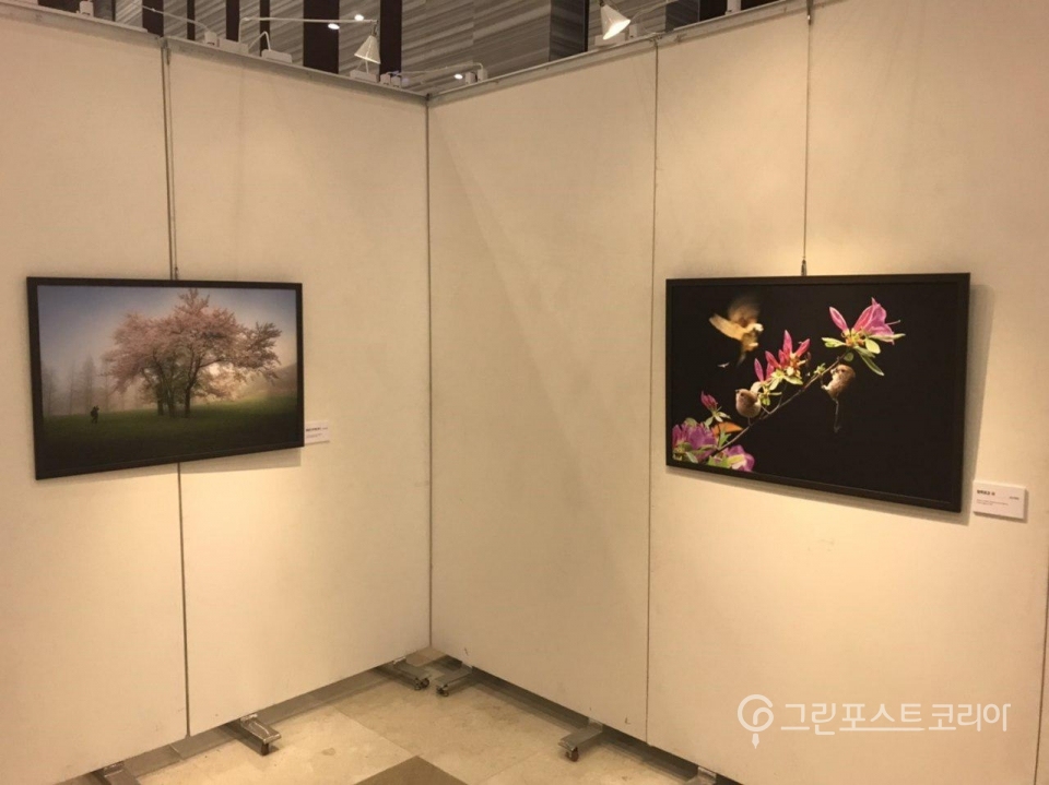 제6회 환경사랑 사진전 ‘사진, 꽃을 담다’가 오는 22일까지 하이원리조트 컨벤션 호텔 5층 로비에서 진행된다. 2018.06.04 / 그린포스트코리아