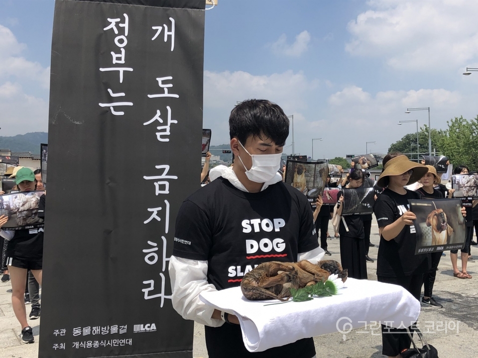 17일 오후 광화문 북측 광장에서 동물해방물결 활동가들이 개농장에서 폐사한 개 사체를 들고 묵념 중이다. (권오경 기자)2018.7.17/그린포스트코리아