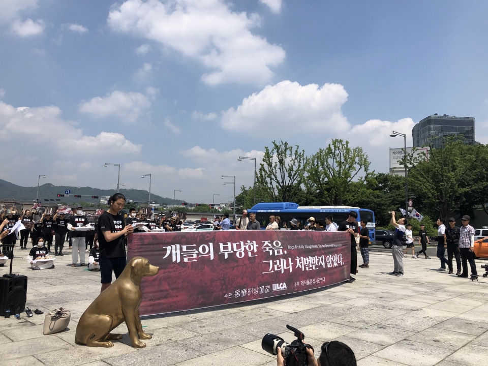 17일 오후 광화문 북측 광장에서 동물해방물결과 LCA는 개식용 종식을 위한 기자회견을 진행했다. (권오경 기자)2018.7.17/그린포스트코리아