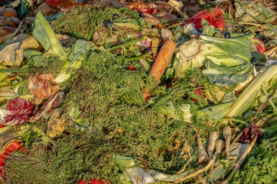 명절 음식물쓰레기 배출량은 평소 대비 20%가량 늘어난 수준이다.(픽사베이 제공)2018.9.24/그린포스트코리아