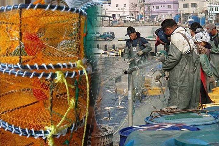 해수부는 생분해성 어구 보급사업을 추진하고 있다.