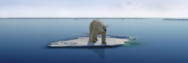 지구온난화로 서식지를 잃은 북극곰의 모습.2018.11.1/그린포스트코리아