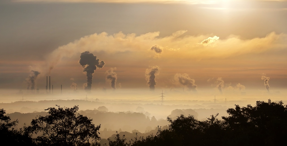 한국이 2013~2017년 베트남과 인도네시아에 건설했거나 건설 예정인 13개 석탄발전소로 인해 연간 3000명이 조기 사망한다는 내용의 연구 결과를 그린피스는 발표한 바 있다.