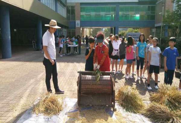 경동초등학교 5학년 학생들이 학교논을 활용해 '도시농부체험'을 하고 있다. (사진=서울시 제공)