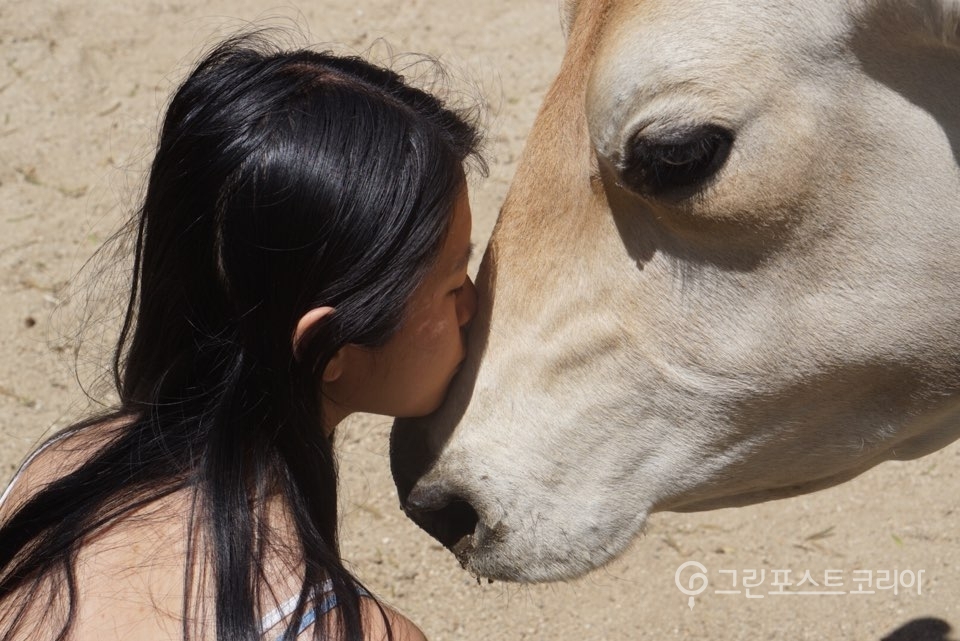 미국 로스앤젤레스 인근 사막에 위치한 농장동물보호소 '젠틀 반(The Gentle barn)'에서 동물과 놀고 있는 채식 운동가 안백린(26)씨. 이곳 동물들은 사람을 무서워하지 않고 좋아한다고 한다.(안백린 씨 제공)/그린포스트코리아