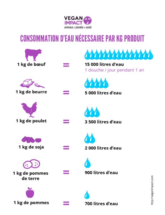 1kg의 소를 소비하는 데 1만5000리터의 물이 사용된다. 이는 우리가 1년간 매일 샤워할 때 소비하는 평균 물의 양이기도 하다. 반면 1kg의 감자는 900리터의 물만 필요로 한다.2018.11.23/그린포스트코리아