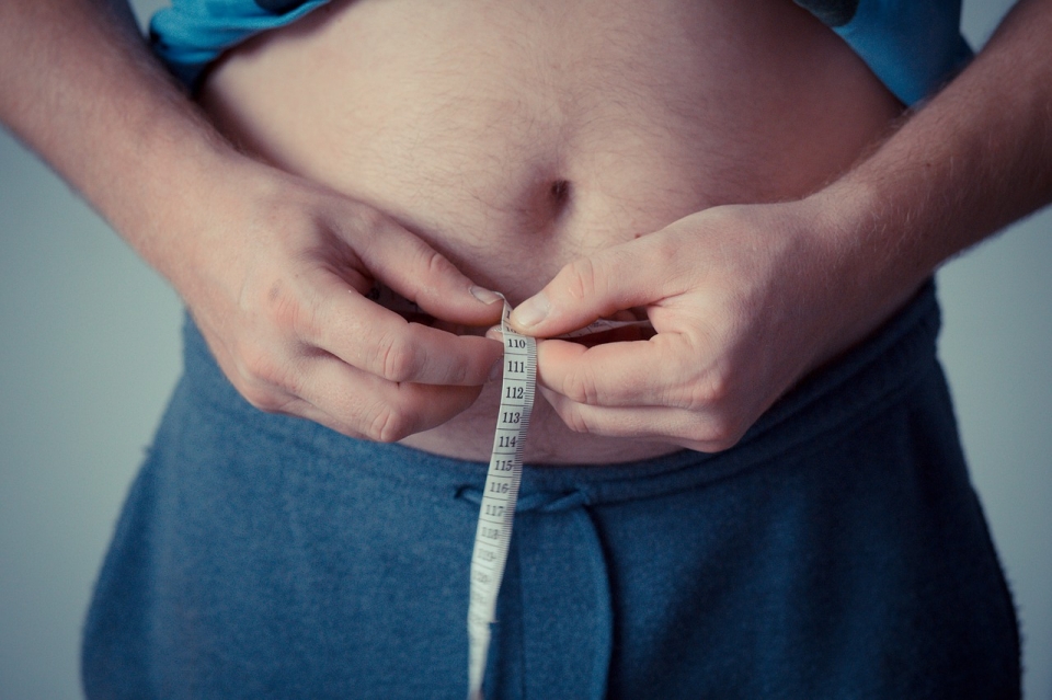 국민건강보험공단이 비만 인식도 조사를 벌인 결과, 응답자 60.5%가 ‘매우 살이 쪘거나 살이 찐 편’이라고 답했다. (사진=Pixabay)
