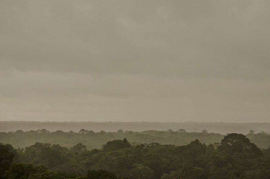 불법 벌목 등으로 몸살을 앓고 있는 아마존 열대우림.(사진=Pixabay)