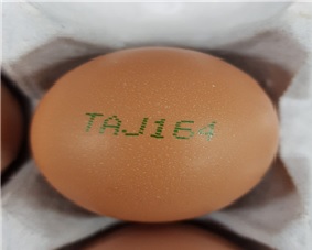 부적합 판정을 받은 전남 강진군 농가에서 생산된 계란. (농림축산식품부 제공) 2019.1.18/그린포스트코리아