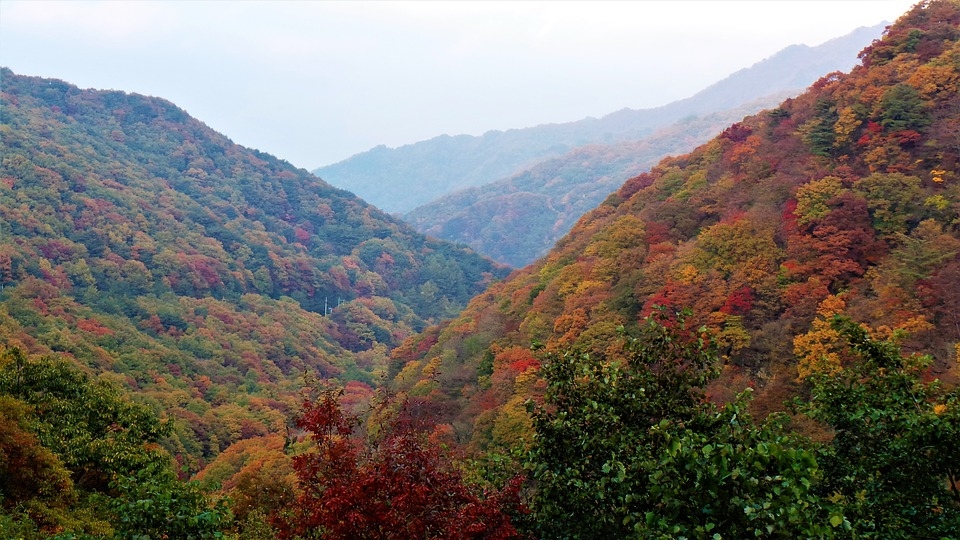 지리산의 가을 풍경 (사진=Pixabay)