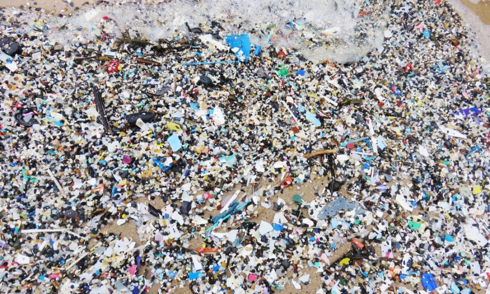 지난 2월 영국 해변에서 발견된 플라스틱 조각. 이곳에서 채취한 플라스틱 45%에서 대장균이, 90%에서 비브리오균이 발견됐다. (사진 트레이시 윌리엄스 제공)