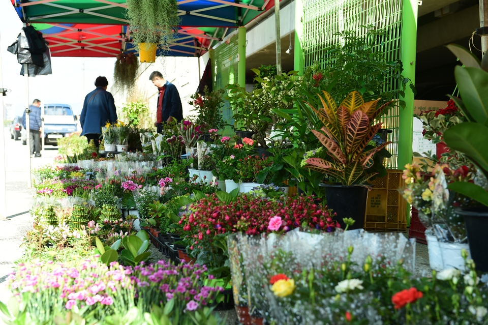 전남 장성군의 전통시장인 황룡장의 꽃가게에서 온갖 꽃들이 손님들을 맞고 있다. 저마다 아름다운 꽃을 피워 봄기운을 물씬 느낄 수 있다. (사진=장성군 제공)