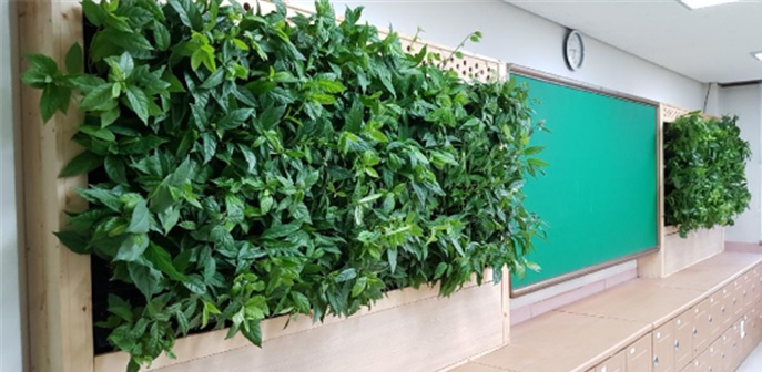 시범사업으로 서울삼양초등학교에 적용된 빌레나무 식물벽. (환경부 제공)