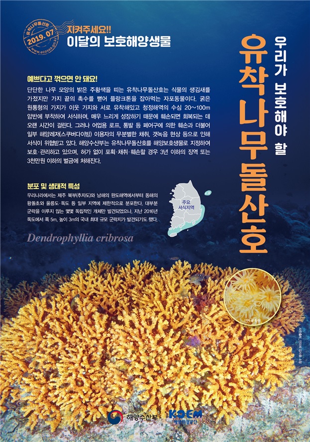 '이달의 보호해양생물' 7월 포스터. (해수부 제공)