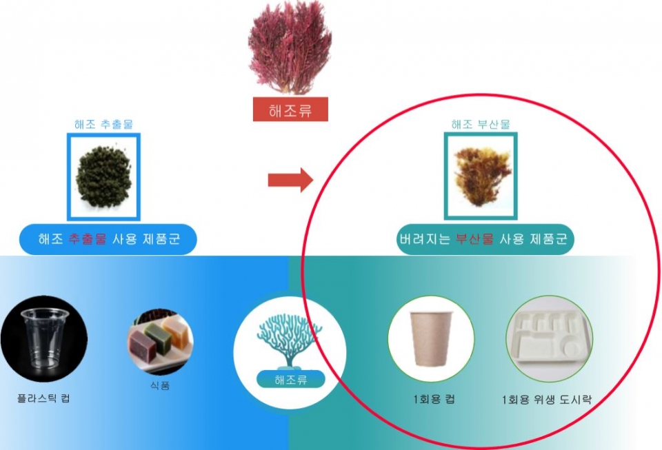 친환경 신소재(해조류 부산물)로 만든 마린이노베이션의 제품(사진 마린이노베이션 제공)