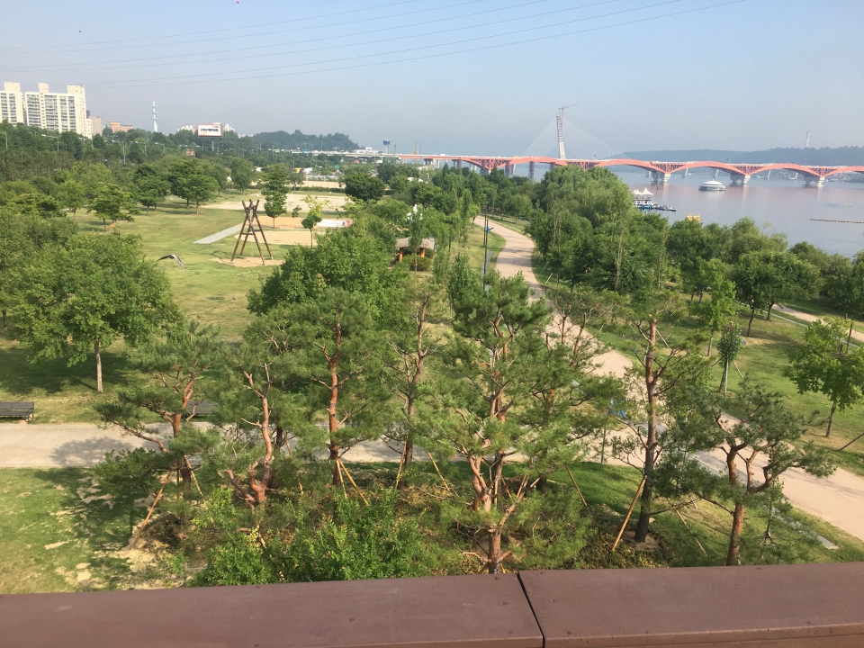 양화한강공원-완충숲 (사진 서울시청 제공)