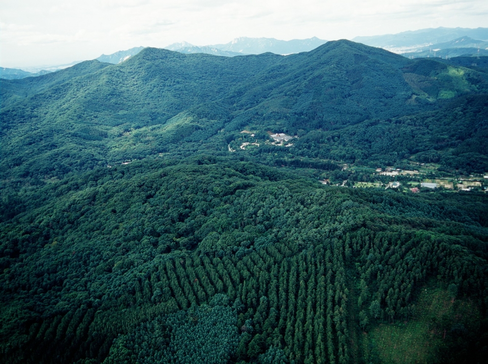 산림청은 21일 정부대전청사에서 '제2차 국유림 확대계획'을 발표했다.(사진 산림청)