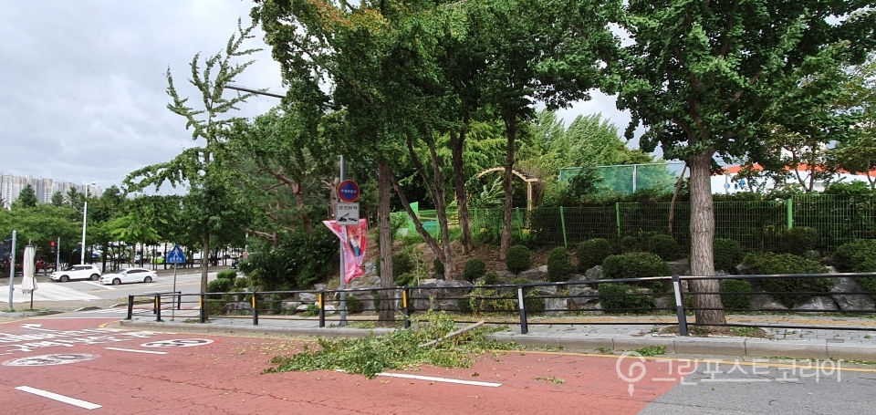 경기 수원의 월드컵경기장 인근에서는 태풍 '링링'의 강풍에 못이겨 가로수가 쓰러져있다.(이재형 기자)