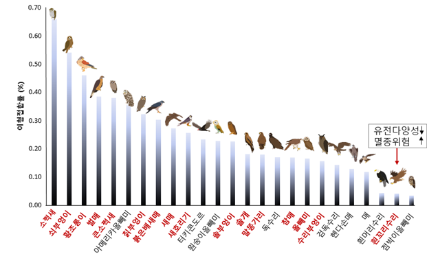 유전체 서열상 이형접합률로 본 유전다양성 그래프. 빨간색은 본 연구에서 해독된 종, 검정색은 공개된 데이터 활용. 우리나라 서식 맹금류 중 흰꼬리수리의 유전다양성이 매우 낮은 것으로 파악됐다. (자료 국립생물자원관 제공)