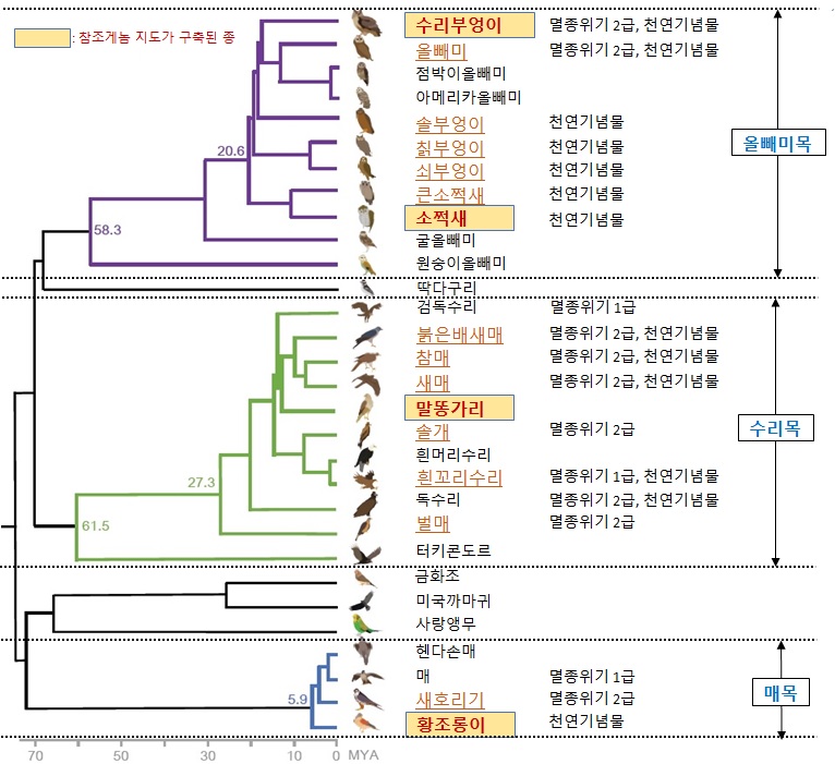 게놈 해독이 돼 있는 맹금류 계통도. 이번 연구에서 참조게놈 지도가 구축된 종은 상자로, 전장유전체를 해독한 종은 밑줄로 표시. 작은 글씨는 전 세계 다른 연구진에 의해 게놈 해독이 돼 데이터가 공개돼 있는 종. (자료 국립생물자원관 제공)