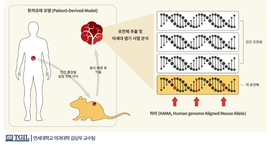 환자유래모델의 원리와 유전체 분석 방법을 설명한 그림. (사진 과학기술정보통신부 제공) 2019.11.11/그린포스트코리아