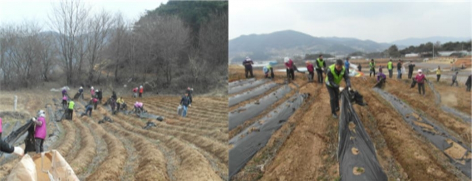 산간·오지 지역 영농폐비닐 수거 전경. (사진 환경부 제공)