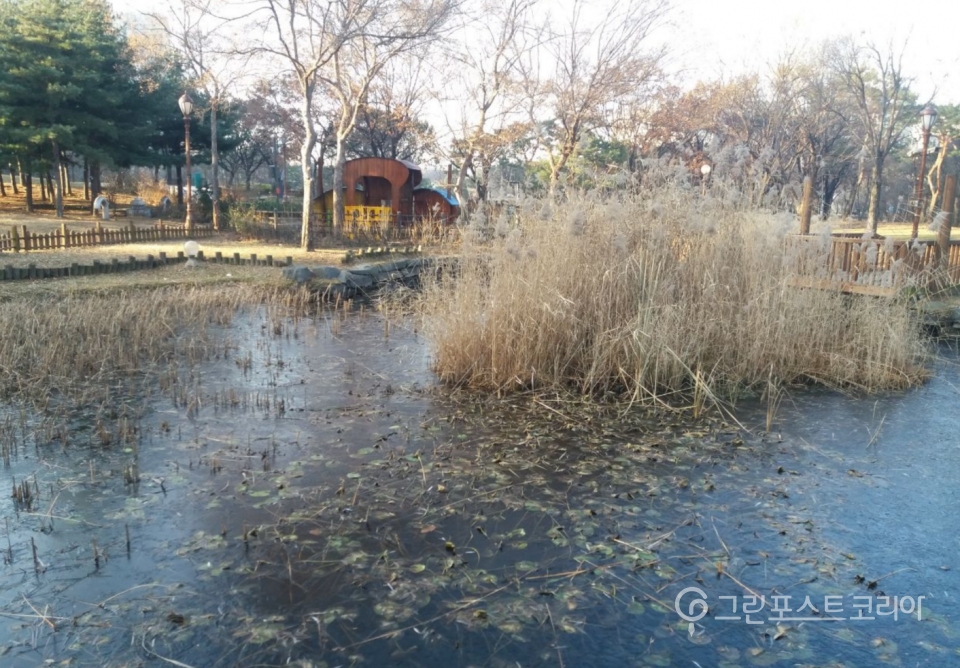 서울 여의도 공원. 영하권 날씨에 공원 연못이 얼어 있다.(이재형 기자) 2019.12.20/그린포스트코리아