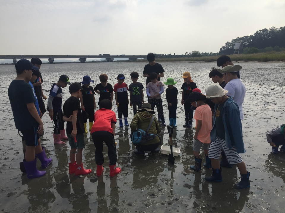 2019년도 참여단체 ‘풀뿌리환경센터‘에서 초등학생을 대상으로 시화호 갯벌생물 관찰교육을 진행하고 있다. (사진 해양환경교육원 제공)/그린포스트코리아