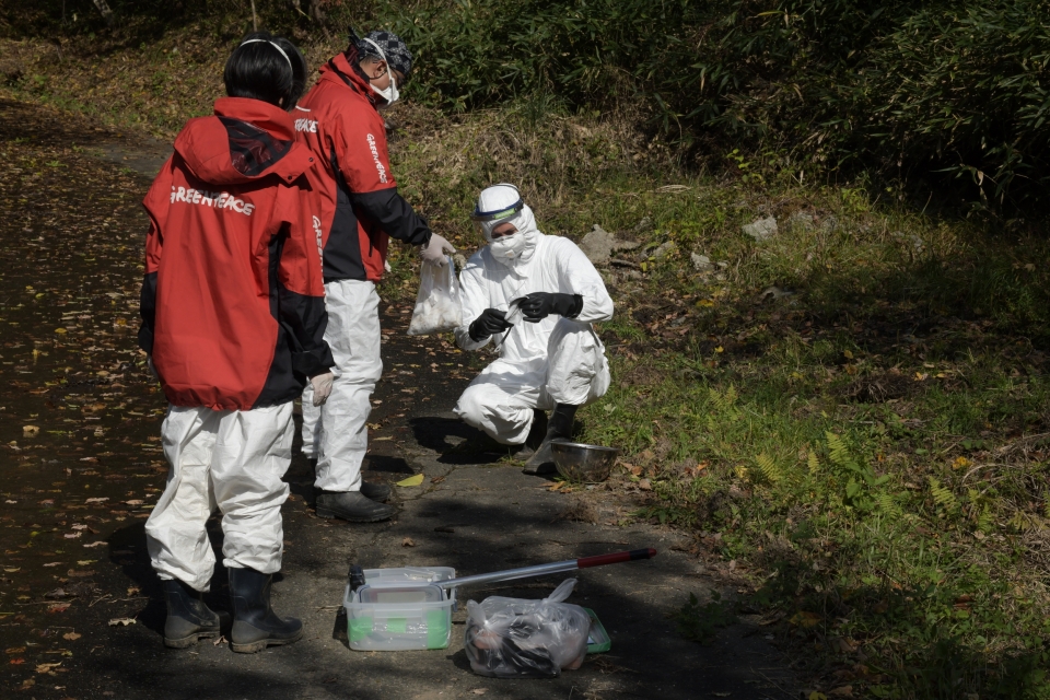 그린피스 조사팀이 쓰시마 나미에 귀환곤란구역에서 조사를 진행하고 있다. (그린피스 제공)/그린포스트코리아