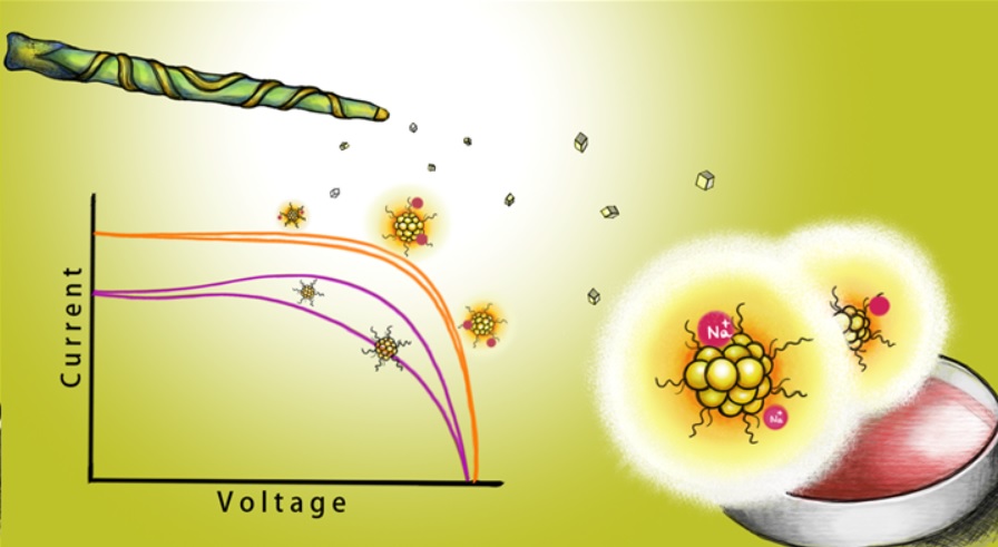 나트륨 이온에 의한 금 나노클러스터 감응형 태양전지의 광전환 효율과 전류-전압 이력현상 변화에 대한 삽화 (출처 방진호 한양대학교 부교수)/그린포스트코리아