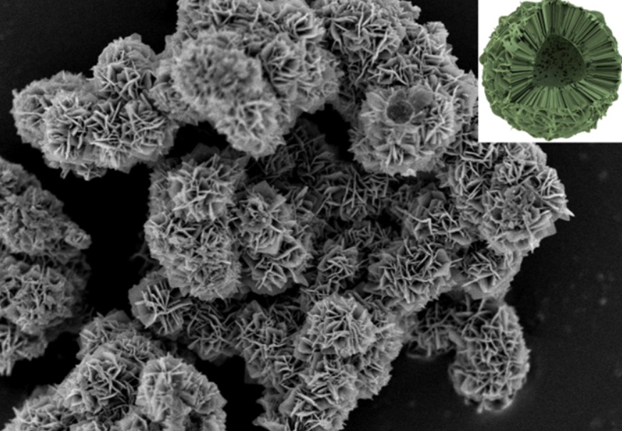 방사성 세슘을 제거하는 겹꽃 모양의 티타늄-페로시아나이드 흡착제의 주사전자현미경 사진. (한국원자력연구원 제공)/그린포스트코리아
