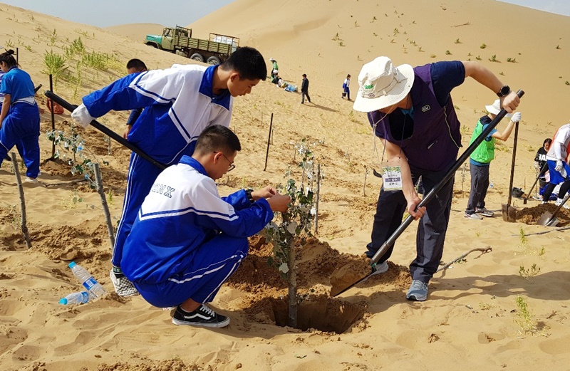 BGF리테일은 중국 쿠부치사막에 5만5000여 그루의 나무를 심었다. (BGF리테일 제공) 2019.9.26/그린포스트코리아