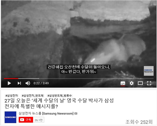 삼성전자는 27일 뉴스룸 유튜브를 통해 오산천에 사는 수달 두 마리의 모습을 담은 공개했다. (뉴스룸 유튜브 화면 캡쳐)/그린포스트코리아
