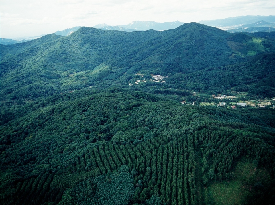 국토교통부가 2일 발표한 2020 지적통계에 따르면 농경·산림지가 여의도의 1875배 감소했다. 사진은 우리나라 국토 중 대부분을 차지하고 있는 산림. (산림청 제공)/그린포스트코리아