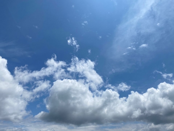 24절기 중 여덟 번째 절기인 소만인 오늘은 전국에 구름이 많겠지만 점차&nbsp;따뜻한 날씨를 보이겠다. (이민선 기자)/그린포스트코리아