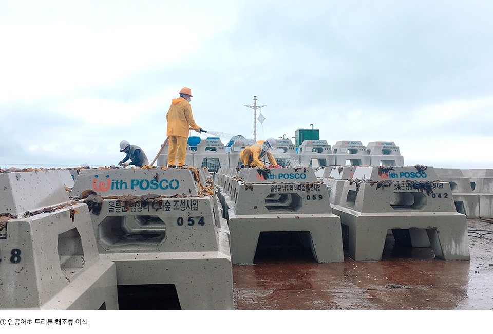 포스코는 환경 관련 행보도 늘려가고 있다. 사진은 철강 슬래그를 활용한 인공어초 트리톤 해조류로 바다 생태계 보존에 나서는 모습. (포스코 제공)/그린포스트코리아