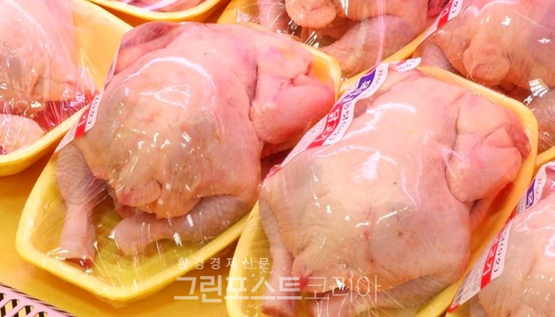 마트에서 판매되고 있는 닭고기/그린포스트코리아