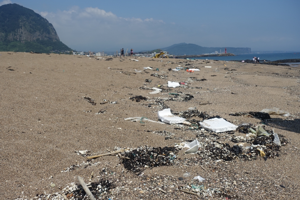 깨끗한 모래로 덮여있어야 할 해변에 플라스틱 쓰레기가 여기저기 굴러다닌다. 제주 사계해변 모습이다. 녹색연합은 지난 8월 16일부터 이틀동안 제주 해변 세곳의 미세플라스틱을 조사한 결과, 조사대상지 모두에서 플라스틱 등 쓰레기가 쉽게 발견됐다고 밝혔다. (녹색연합 제공)/그린포스트코리아