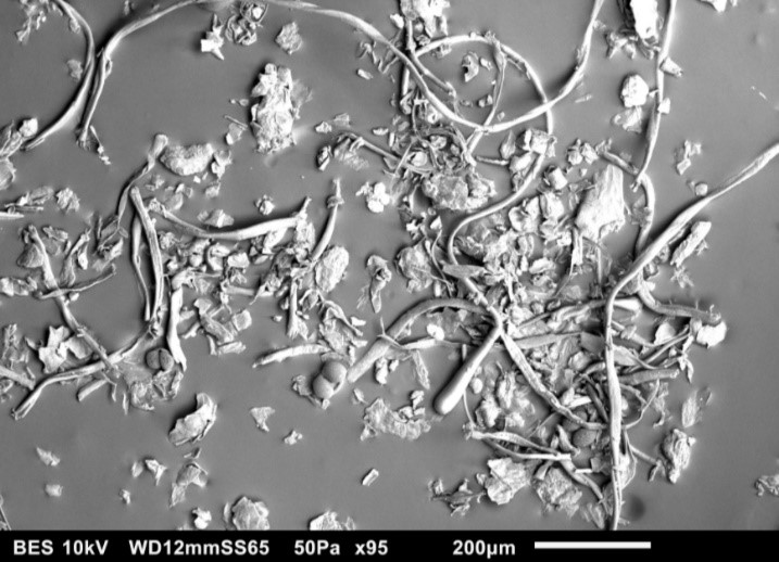 다이슨이 현미경으로 관찰한 먼지의 모습. (다이슨 제공)/그린포스트코리아