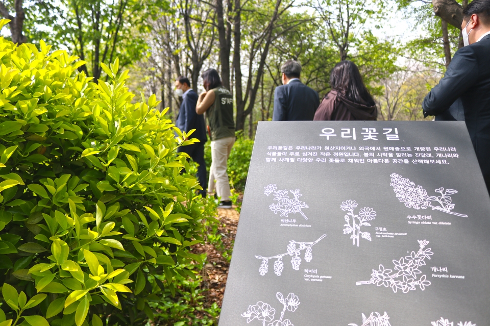 신한카드가 자신들의 고객이 적립한 기부포인트 등을 활용해 도심 속에 녹지를 조성했다 서울숲공원에 조성된 이 녹지는 공기 정화 효과가 탁월한 수종들로 구성됐다. (서울그린트러스트 제공)/그린포스트코리아