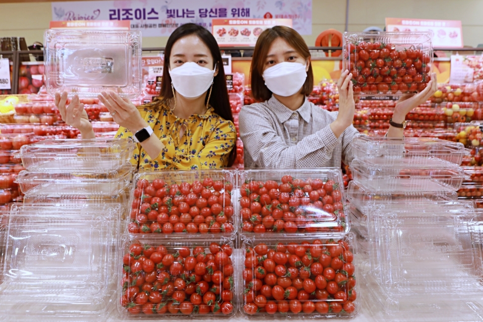 롯데마트는 22일부터 서울역점, 잠실점, 서초점 등 60여개 점포에서 ‘무라벨 새벽 대추방울토마토’를 판매한다. (롯데마트 제공)/그린포스트코리아