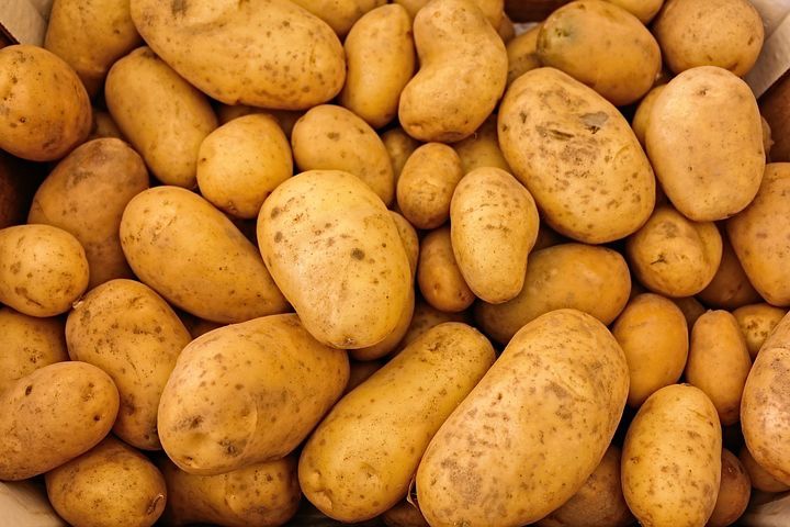 예쁜 감자와 못난 감자는 맛이 다를까? 최근 못난이 농산물을 소비하는 트렌드인 ‘푸드 리퍼브’가 지구와 환경을 살리는 착한소비로 주목받고 있다. (픽사베이 제공)/그린포스트코리아