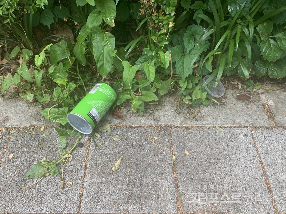 서울 송파구 한 공원에 버려진 과자 포장재. (이한 기자 2021.5.15)/그린포스트코리아