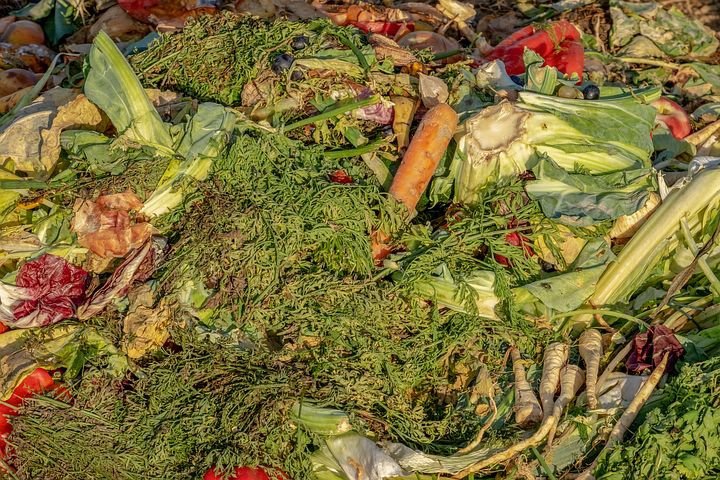 음식물쓰레기는 퇴비나 사료 등으로 재활용된다고 알려져 있지만 유통과 처리 과정에서 배출되는 탄소양이 상당하다. 줄일 수 있으면 최대한 줄이는 것이 환경을 위하는 길이라는 답이 나온다. (픽사베이 제공)/그린포스트코리아